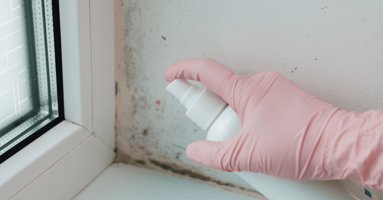 bathroom mold cleaning