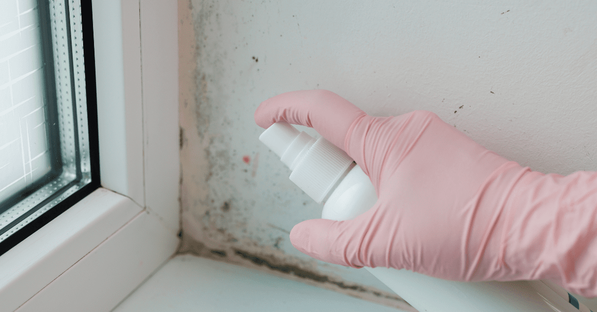 bathroom mold cleaning