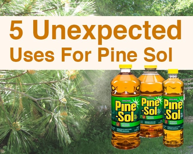 Pine Sol Uses: What Can You Use Pine Sol For?