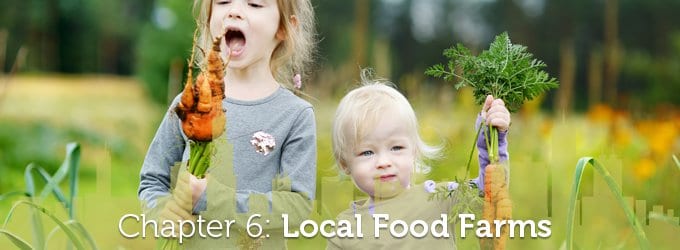 Chapter 6: kids friendly Local Food Farms in Chicago
