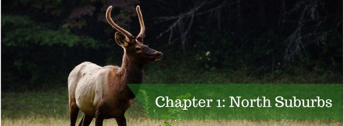 Chapter 1 (2)