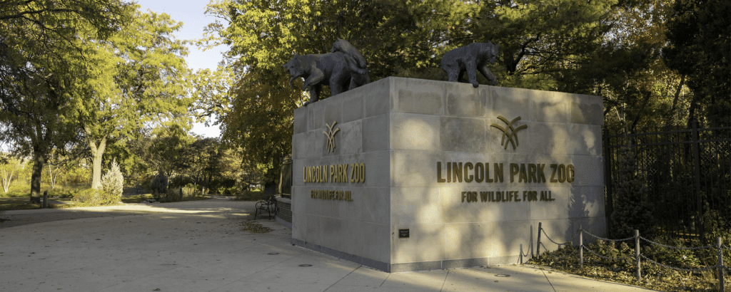 Lincon park zoo for family outing with kids