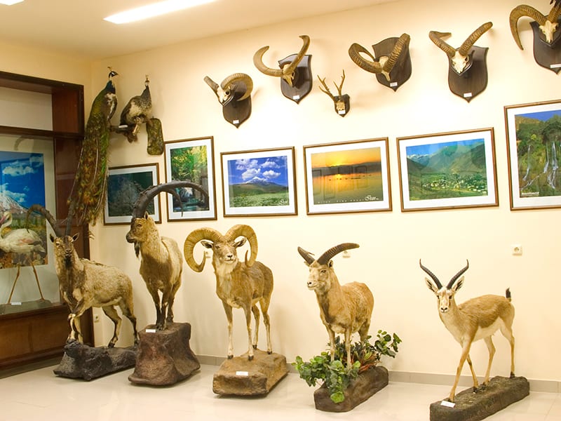 Wildwood Nature Center