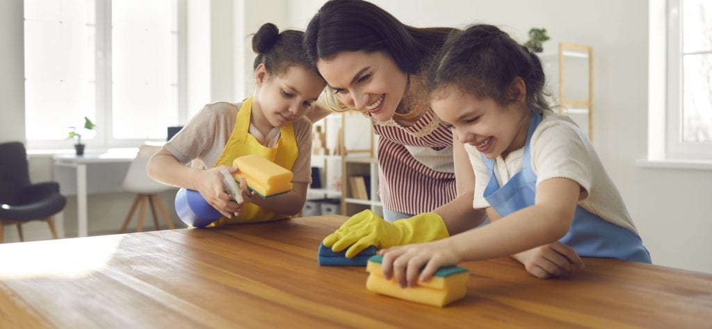 Housekeeping and home organization