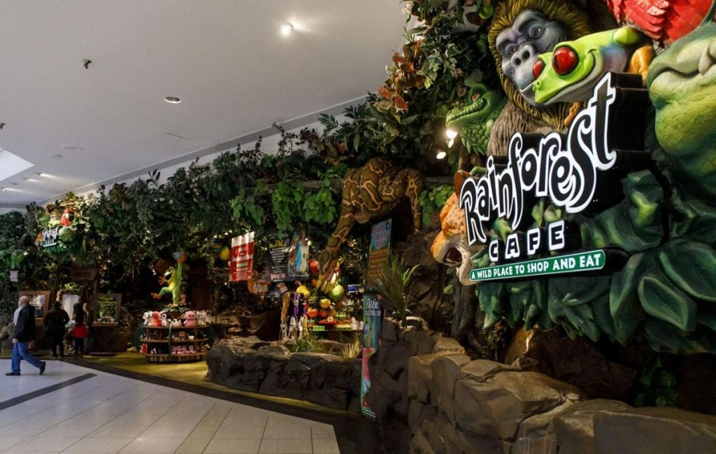 Rainforest cafe perfect for kids activities Chicago