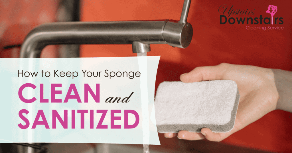 How to Clean Sponges