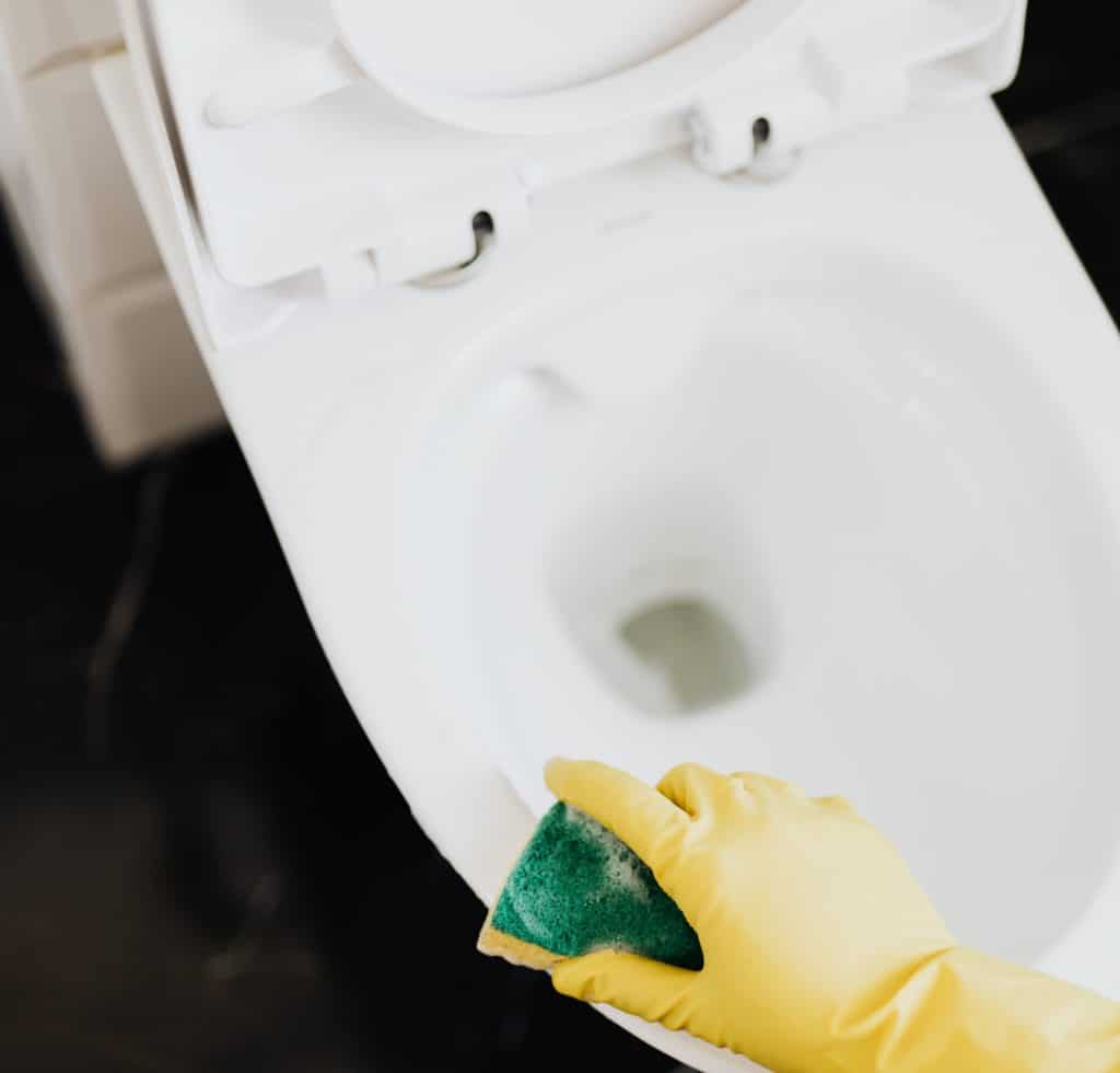 cleaning and scrubbing toilet