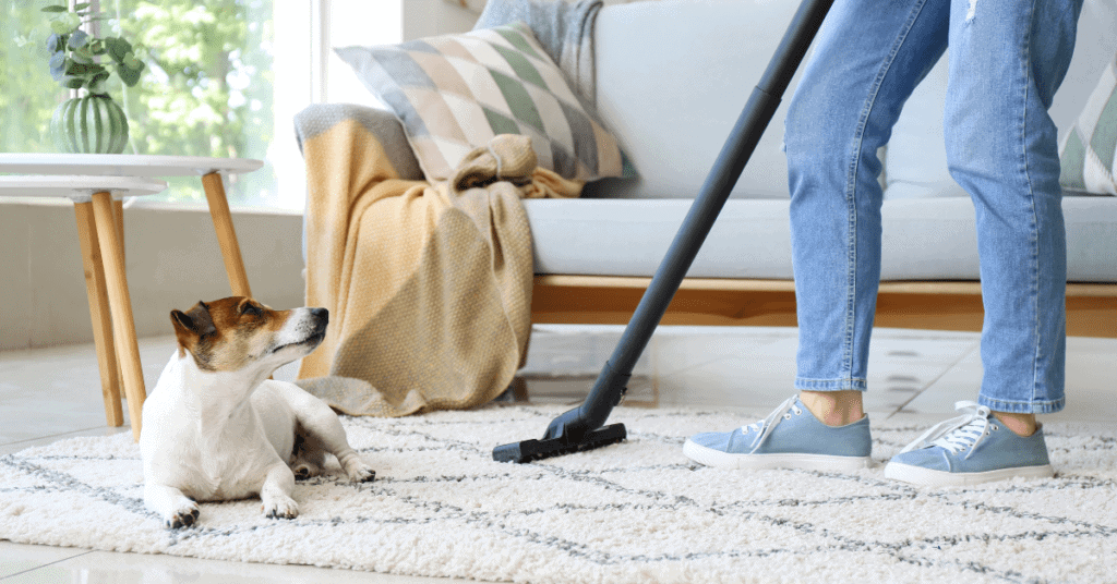 vacuuming the rug