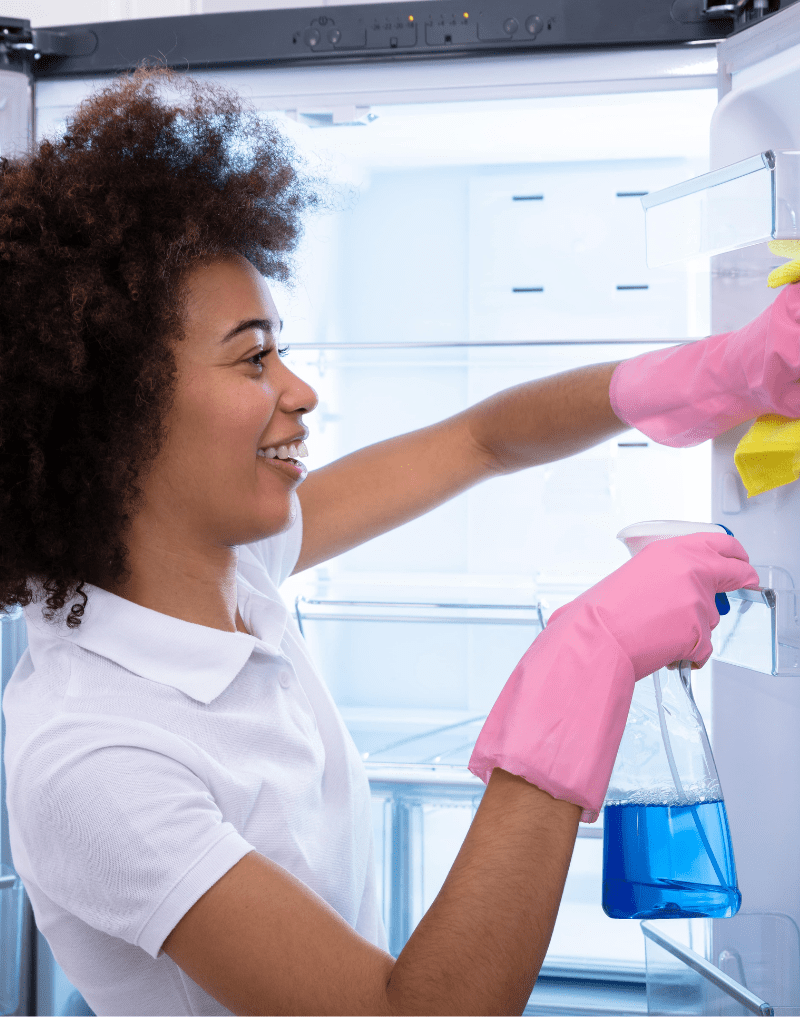 maid cleaning vertical